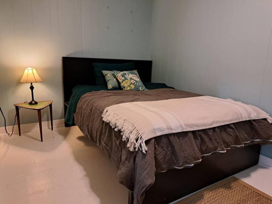 Blue Dog Accommodations Eastend 외부 사진