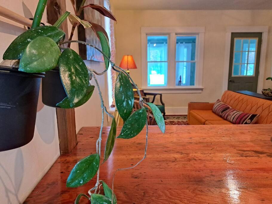 Blue Dog Accommodations Eastend 외부 사진